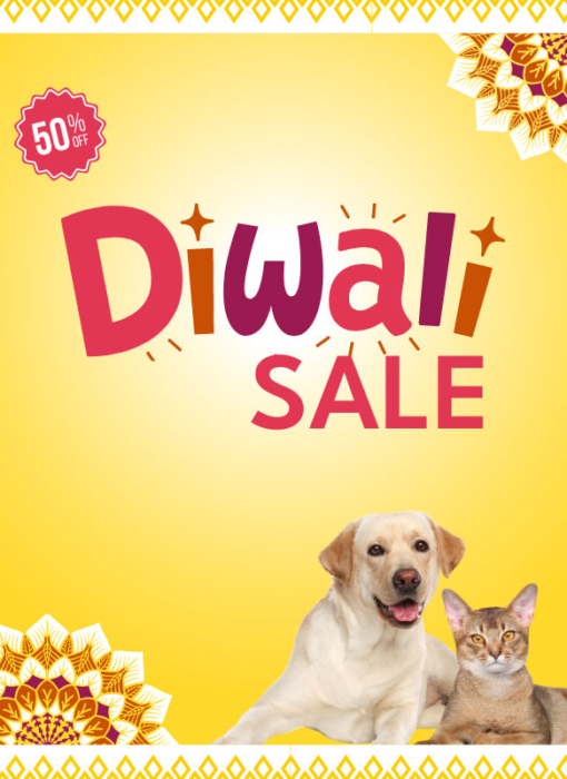 Diwali-2024-Homepage-Banner